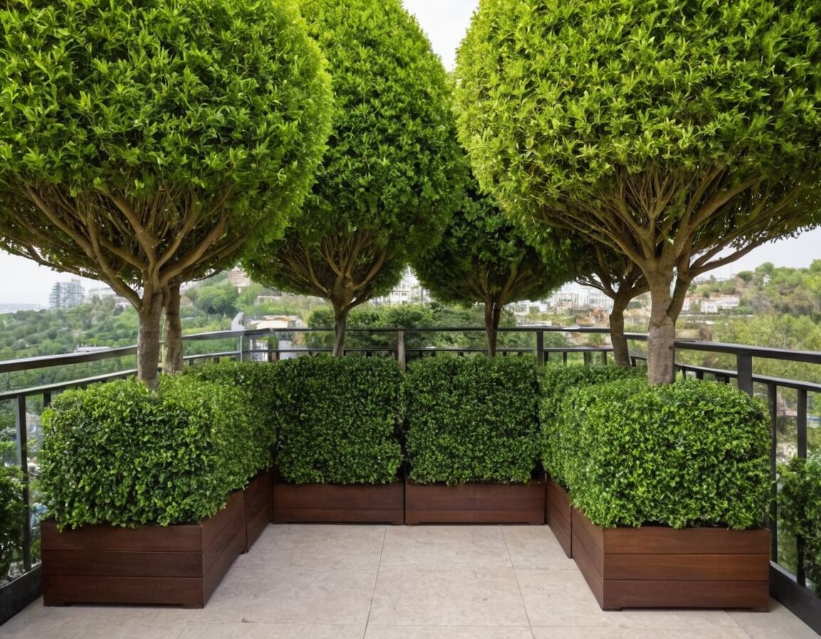 Standortwahl und Platzoptimierung - Kleine Bäume bis 3 Meter: Die besten Arten für Garten und Balkon