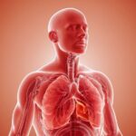 Wie lange dauert eine Bronchitis und was sind die Symptome?