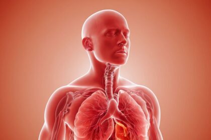 Wie lange dauert eine Bronchitis und was sind die Symptome?