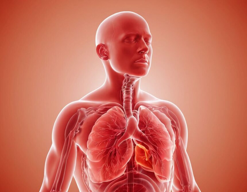 Wie lange dauert eine Bronchitis und was sind die Symptome?