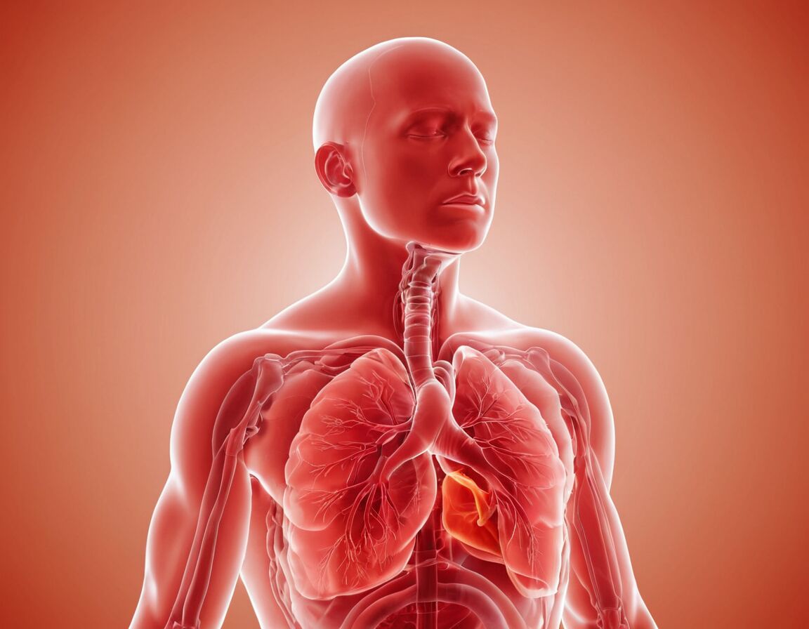 Wie lange dauert eine Bronchitis und was sind die Symptome?